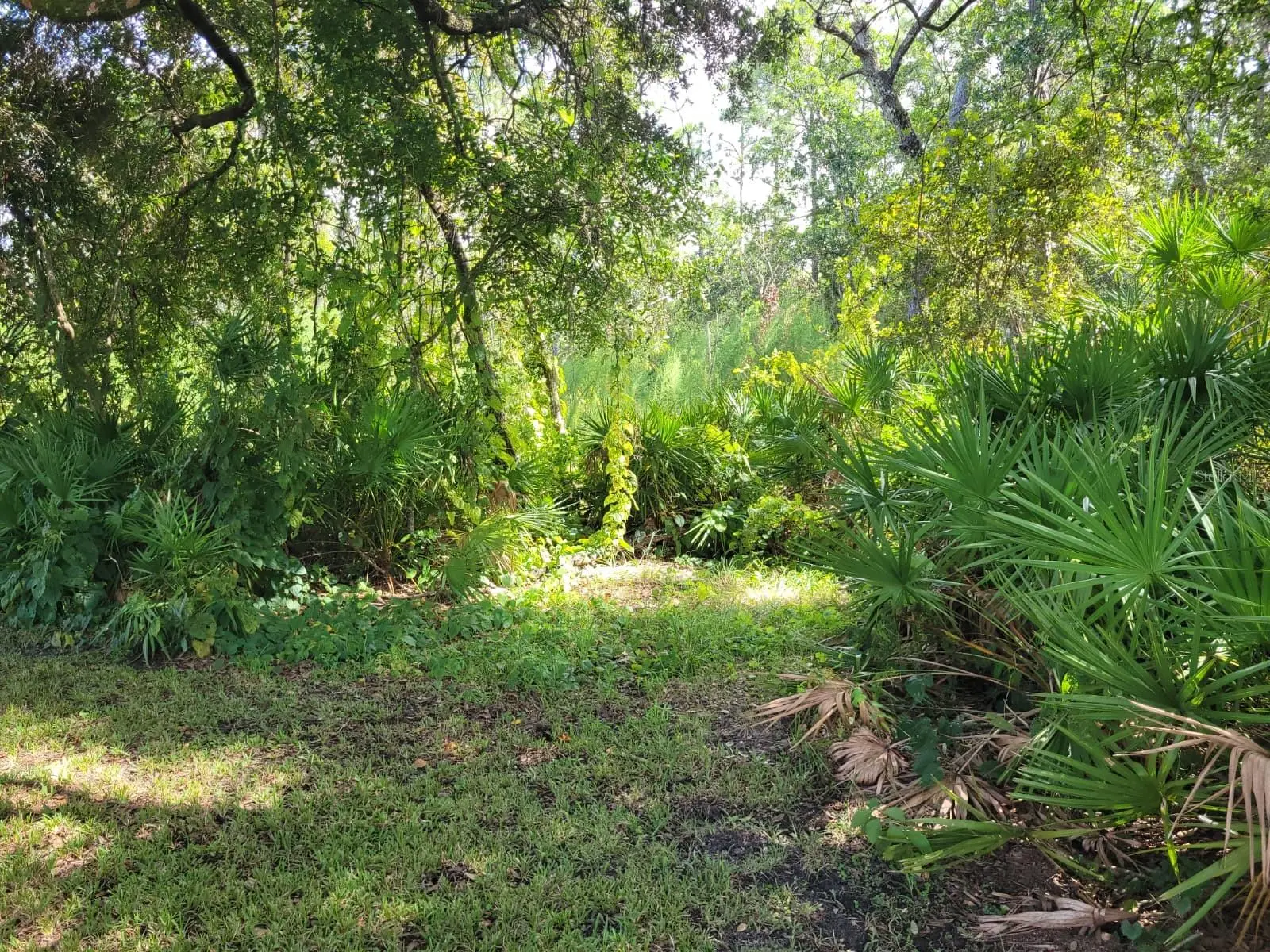 13706 Riverpath Grove Drive, FL