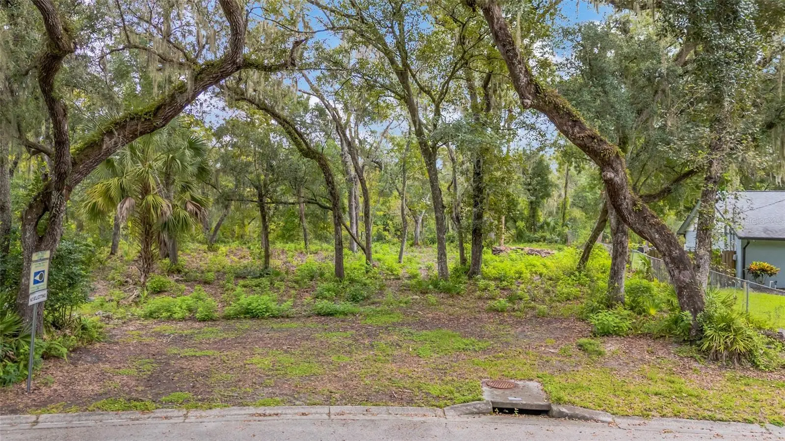 11731 Gail Drive, FL
