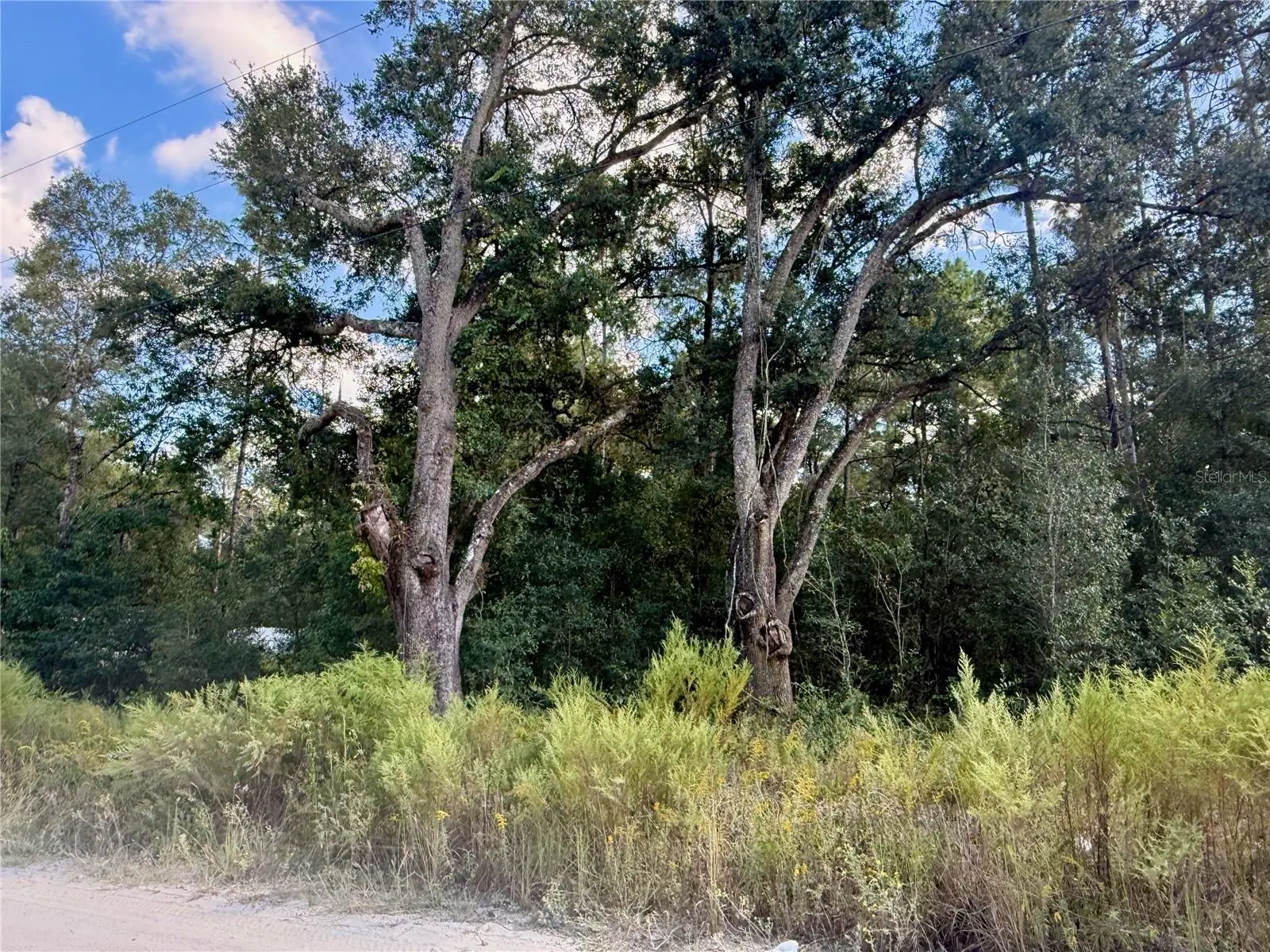 0 16th Place, FL