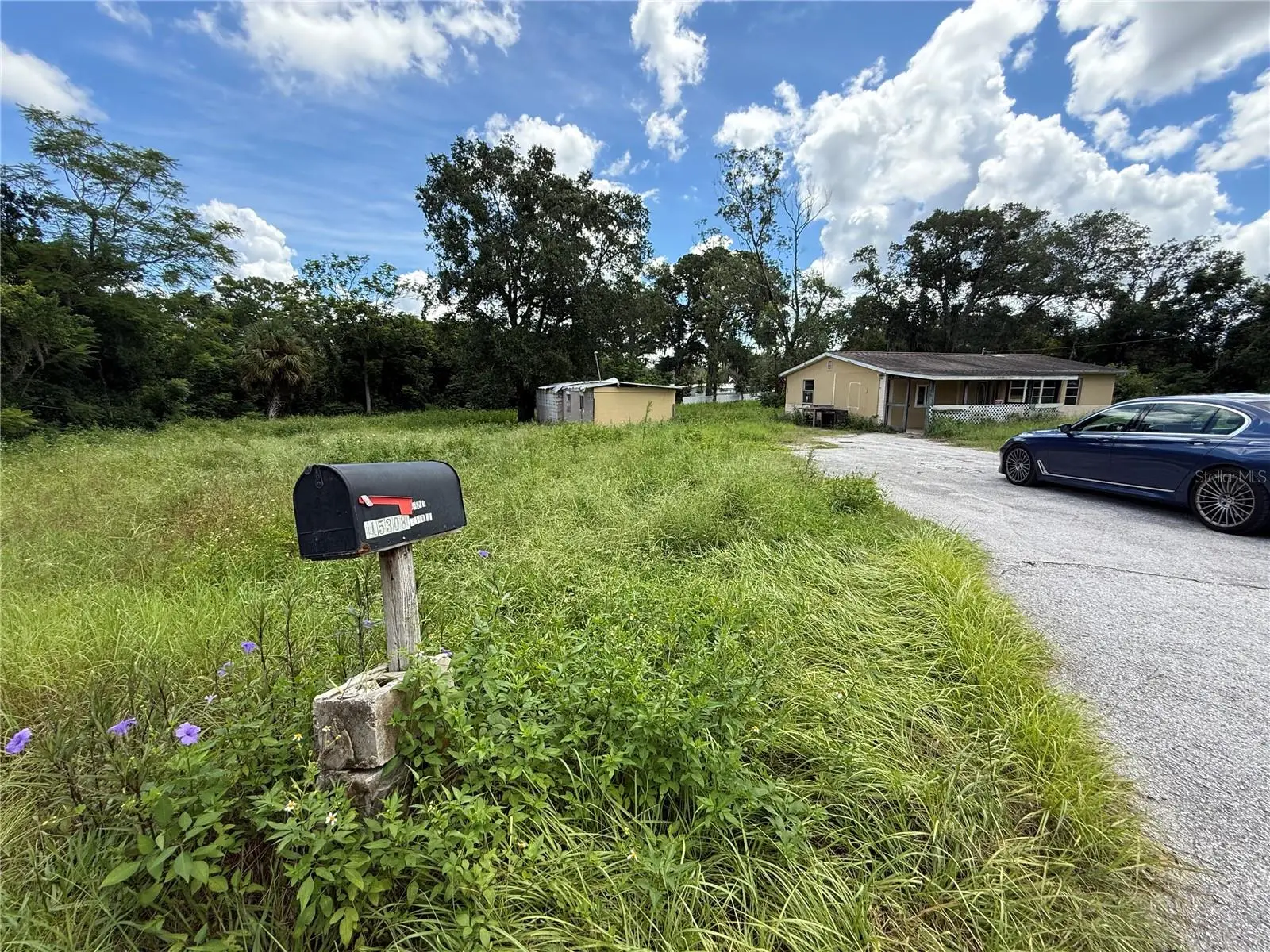 15308 Banjo Drive, FL