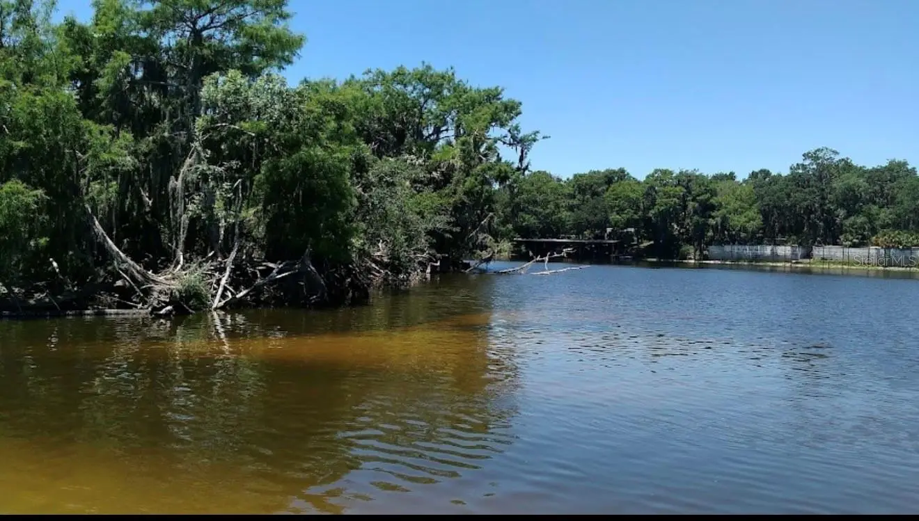1041 Lemon Bluff Road, FL