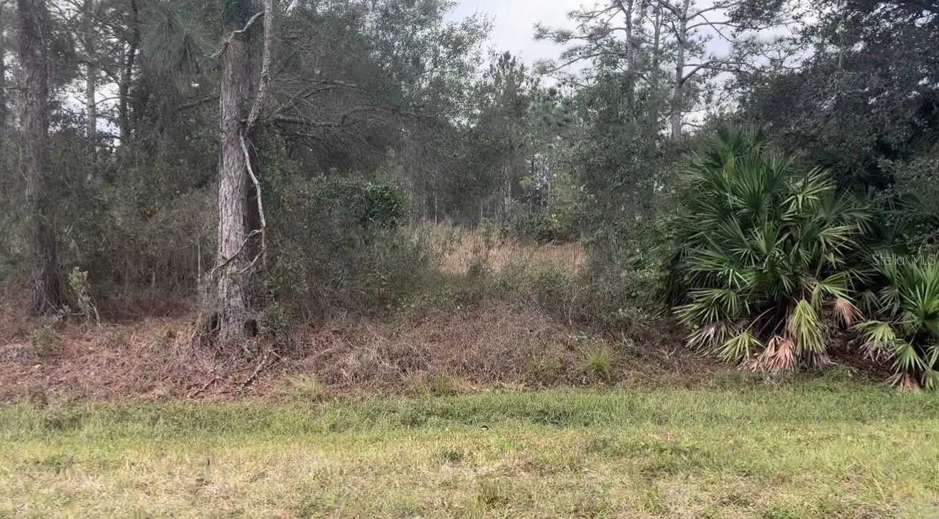 Somerset Street, FL