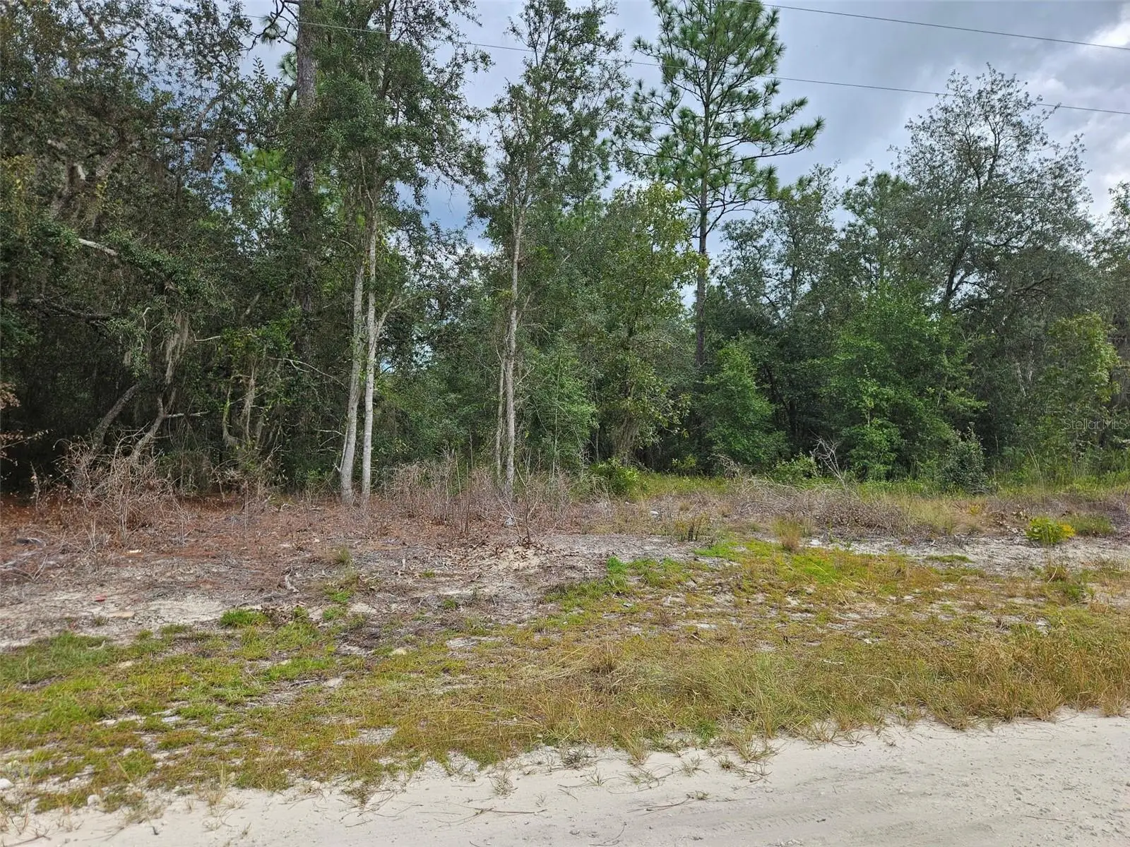 0000 67th Street, FL