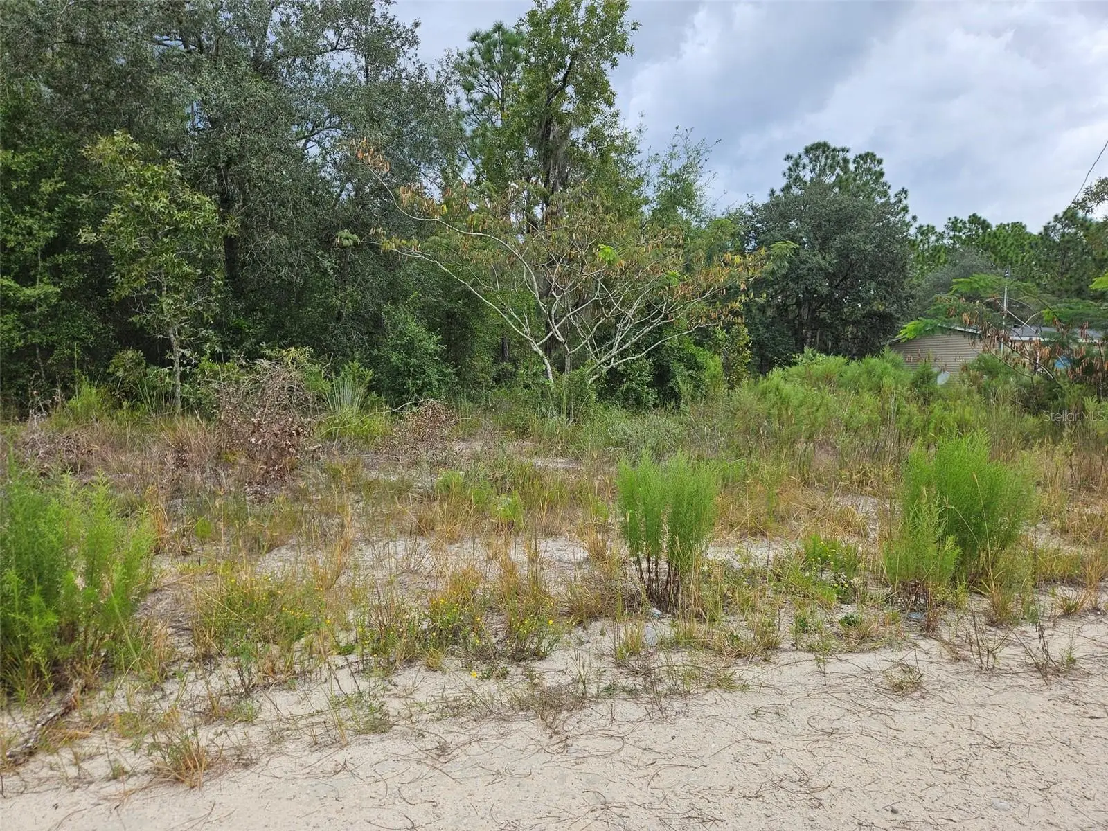 0000 67th Street, FL