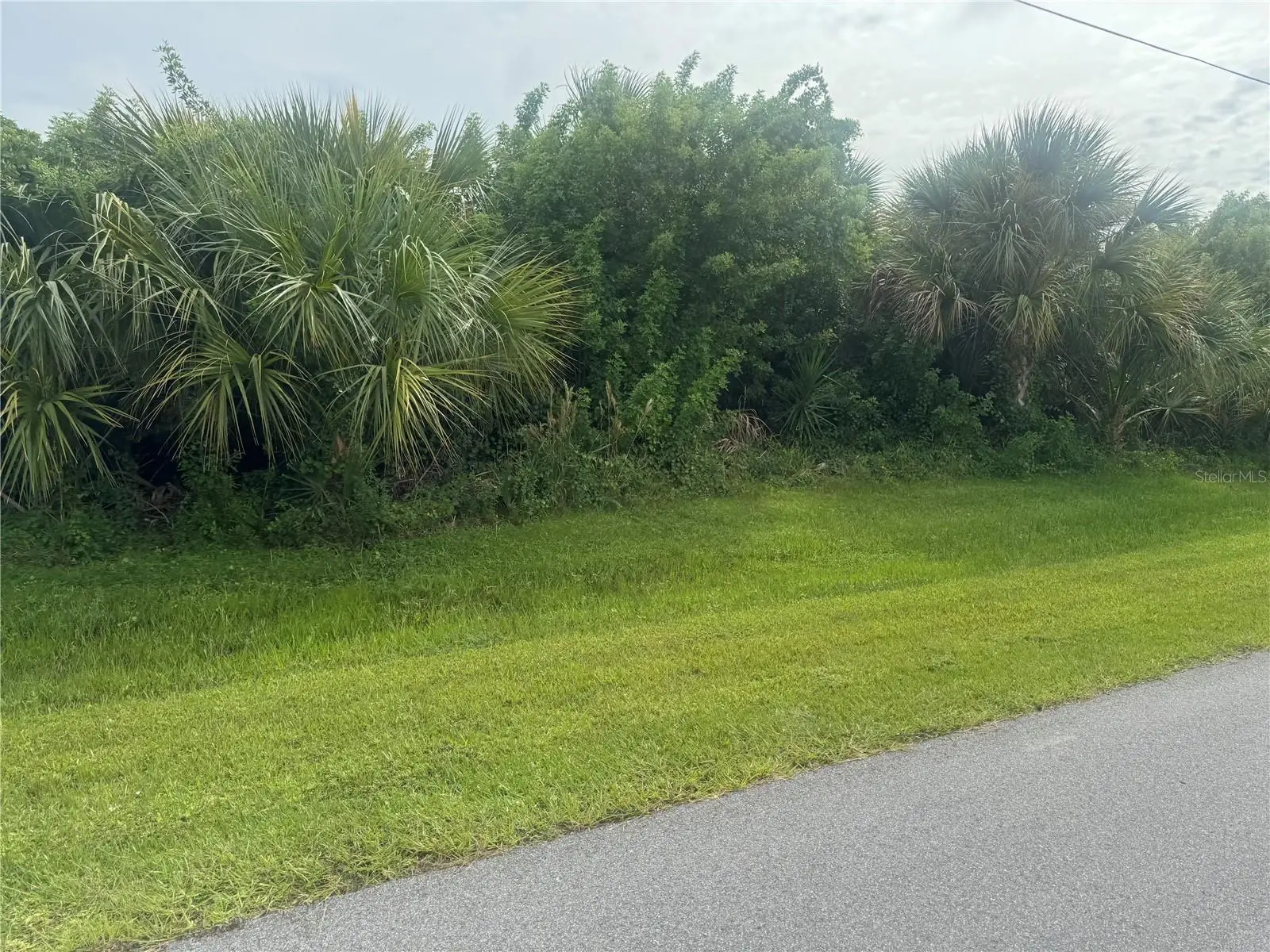 12111 Van Gough Avenue, FL