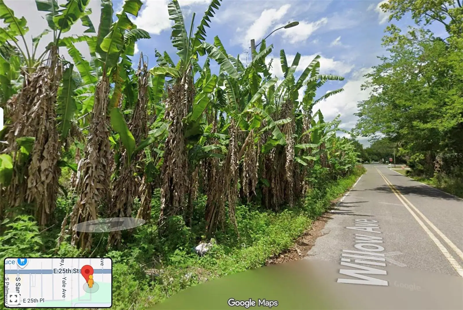 Willow Avenue, FL