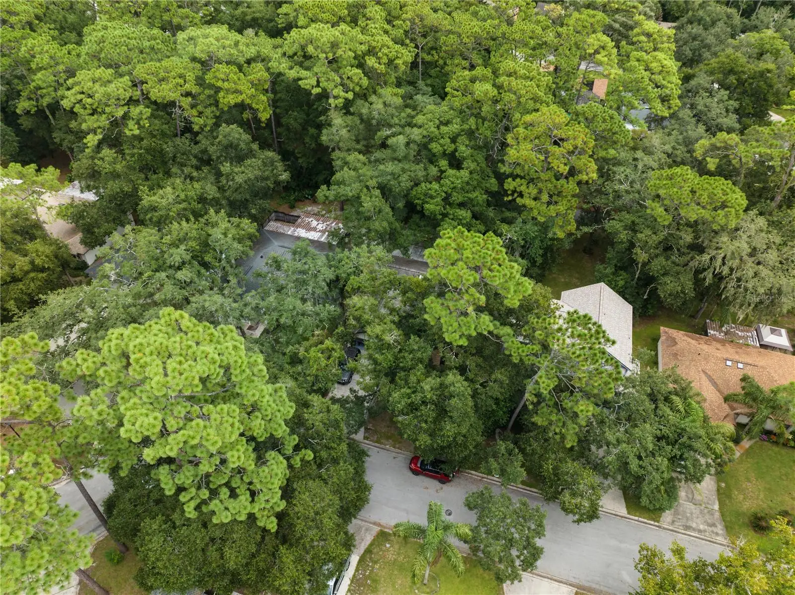 893 Timberland Trail, FL