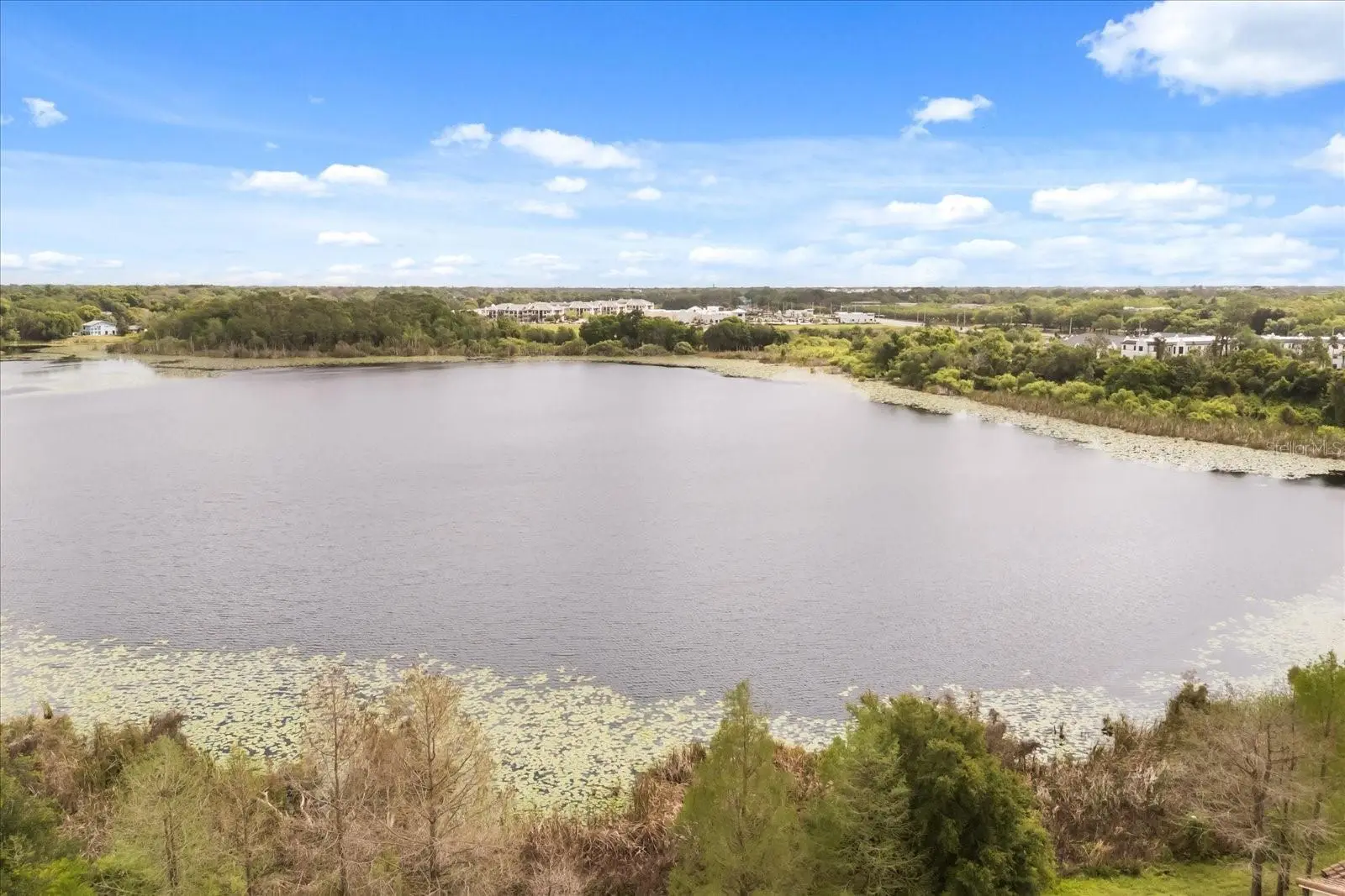 1161 Charming Street, FL