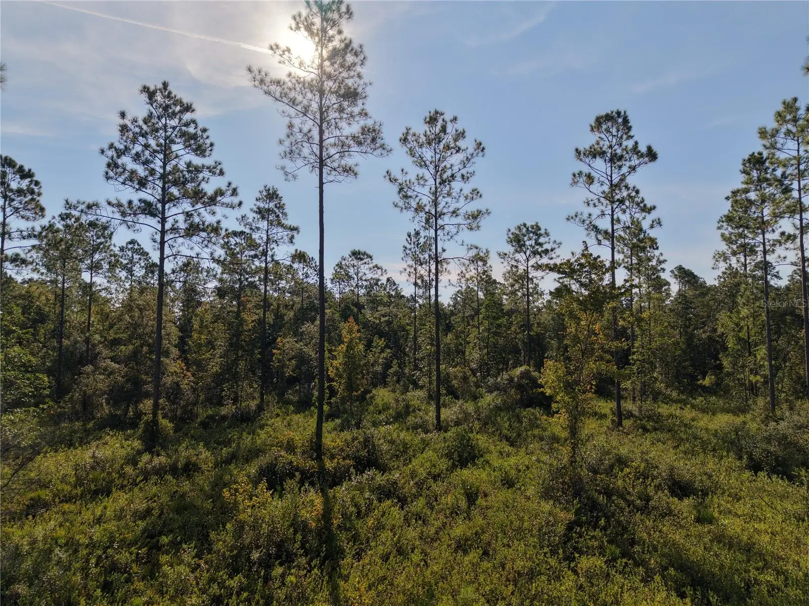 Off Ne 212th St., FL