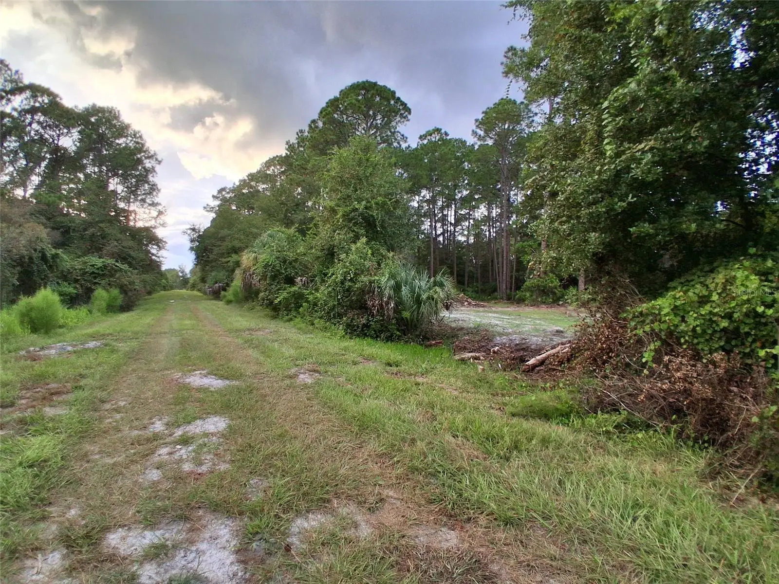 334 Redwood Boulevard, FL