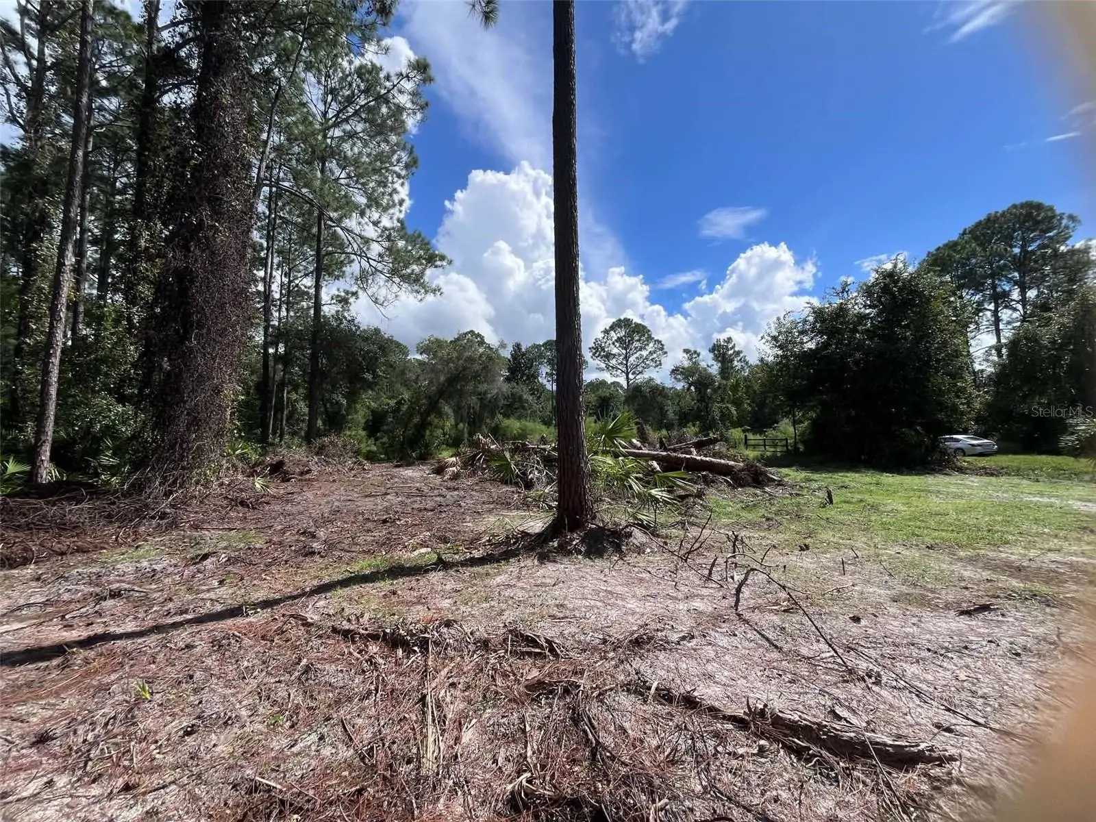 334 Redwood Boulevard, FL