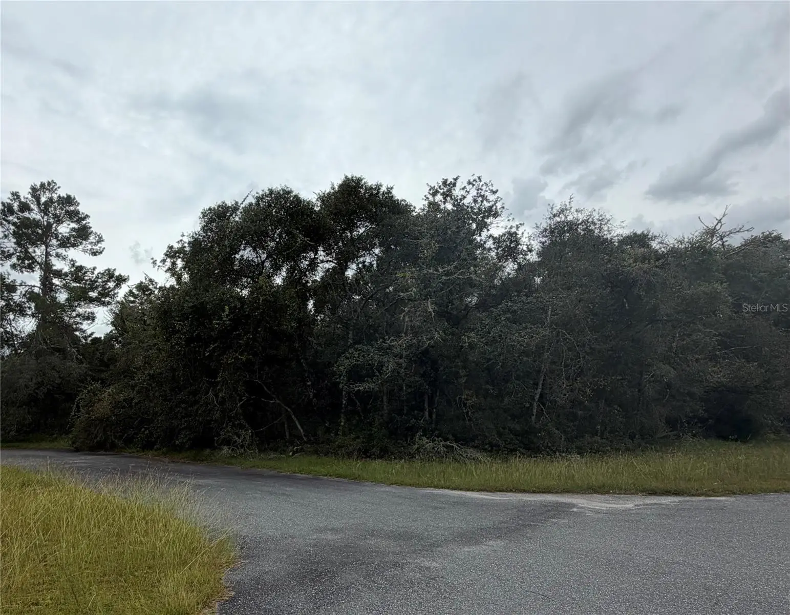 Marion Oaks Gold Way And 38th Ct, FL