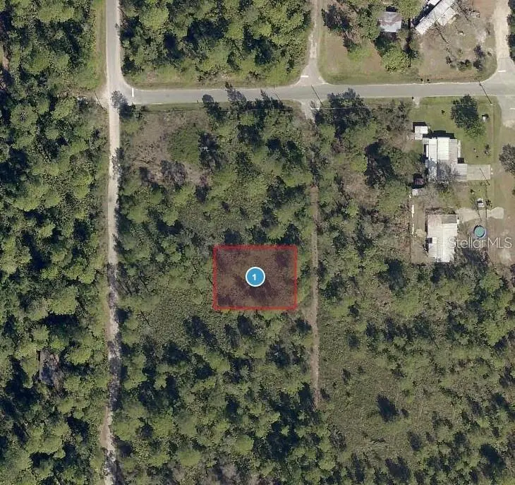 Virginia Street, FL