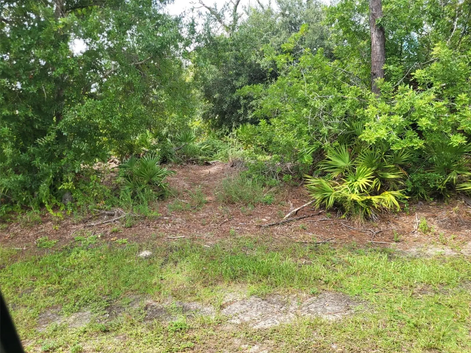 7429 Quaker Street, FL