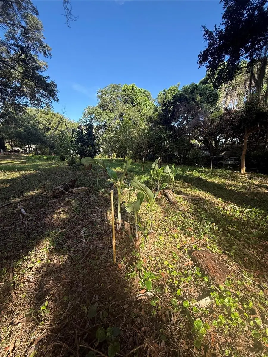 Orange Avenue, FL