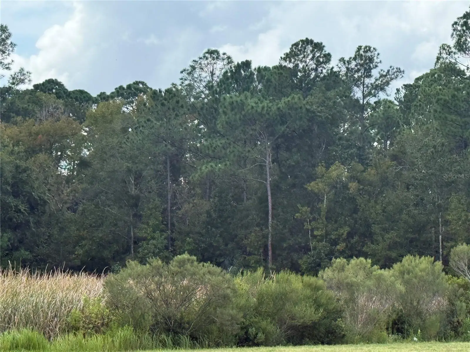 10855 Homosassa Trail, FL