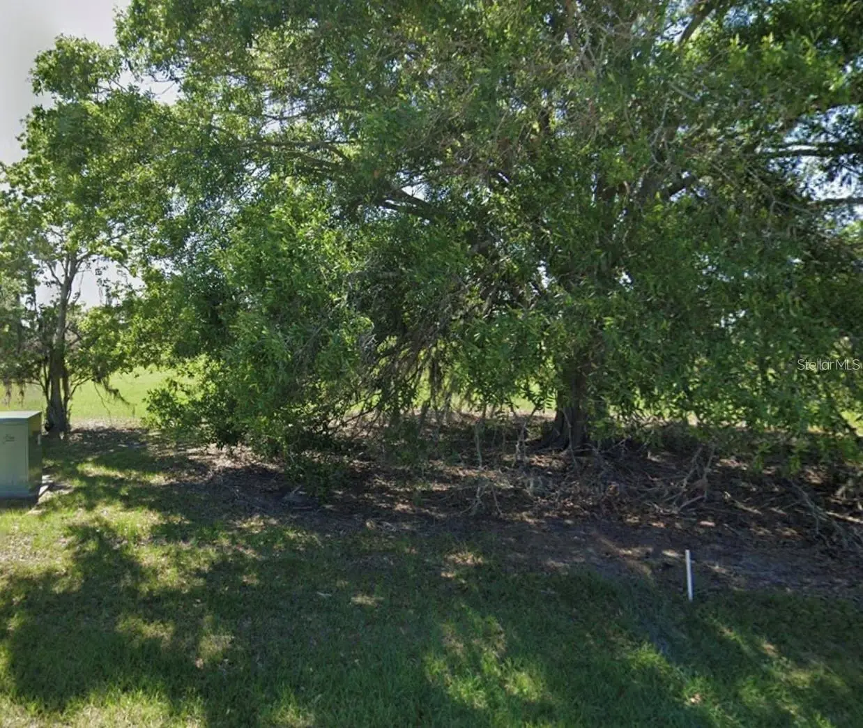 1408 Blue Heron Drive, FL