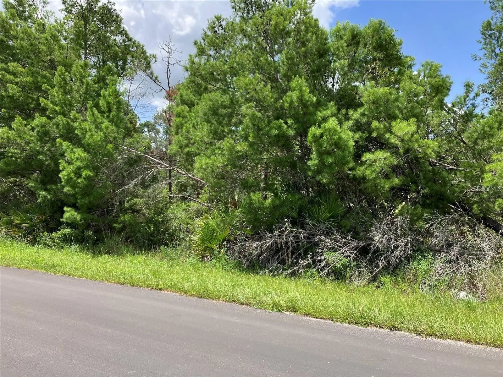 Forehand Road, FL