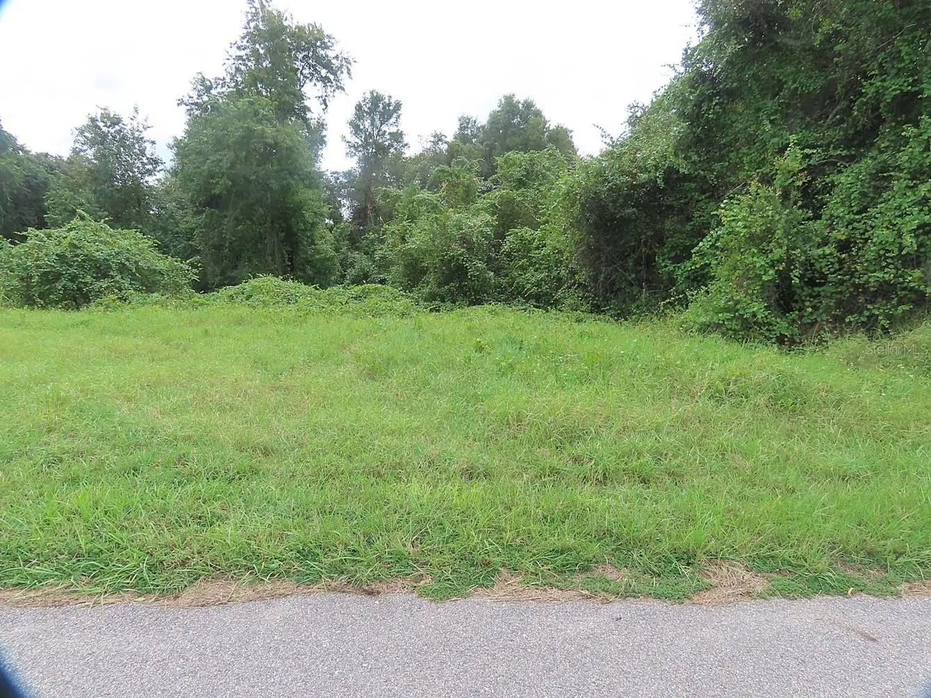 17701 Seidner Road, FL