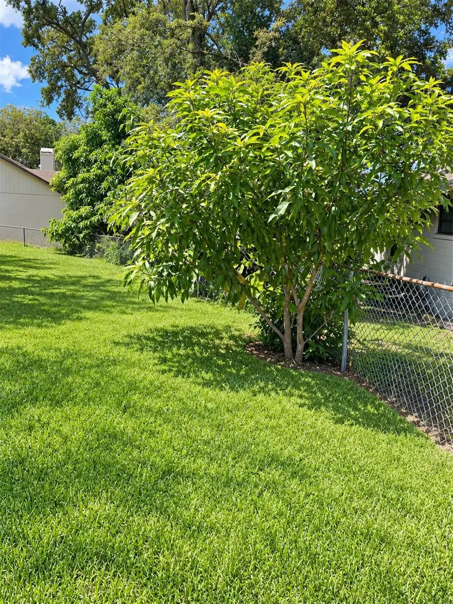 1150 Lake Blanche Drive, FL