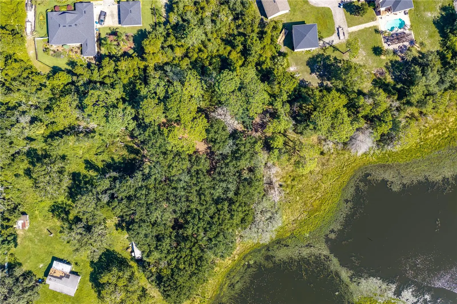 N/A Doyle Rd, FL