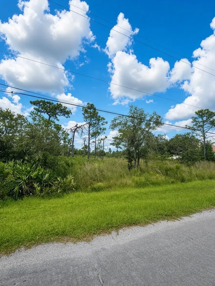 00 Nettleton Street, FL