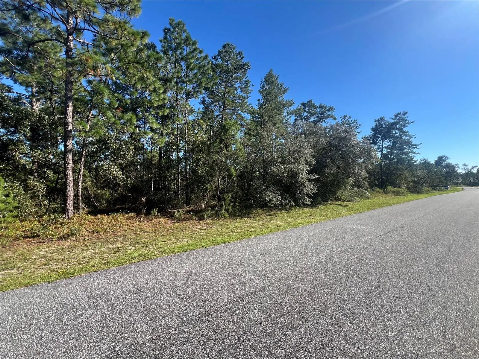 4098 Thrush Drive, FL