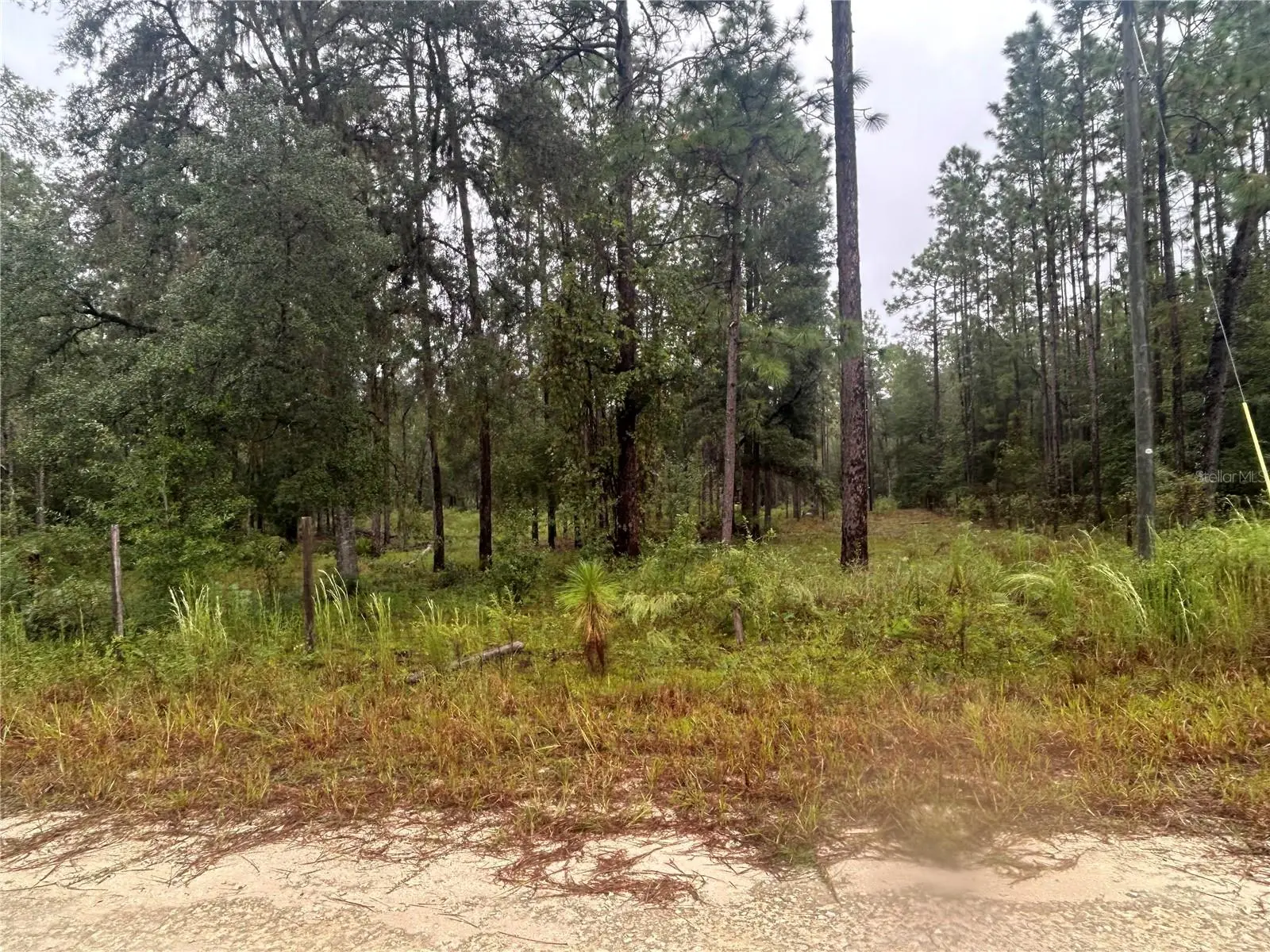 Tbd 111th Lane, FL