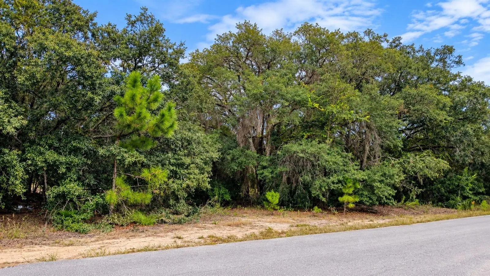 Tbd Malauka Loop Run Road, FL