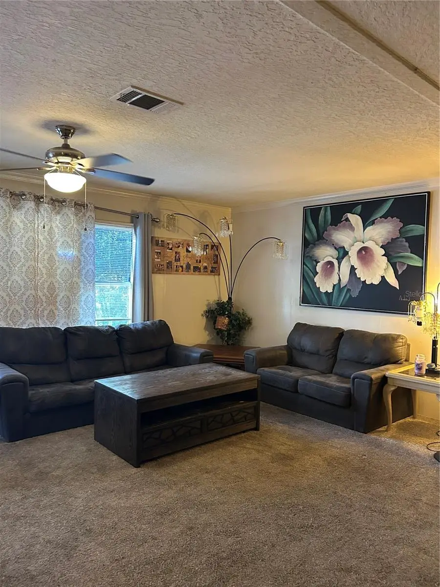 7407 Sabre Street, FL