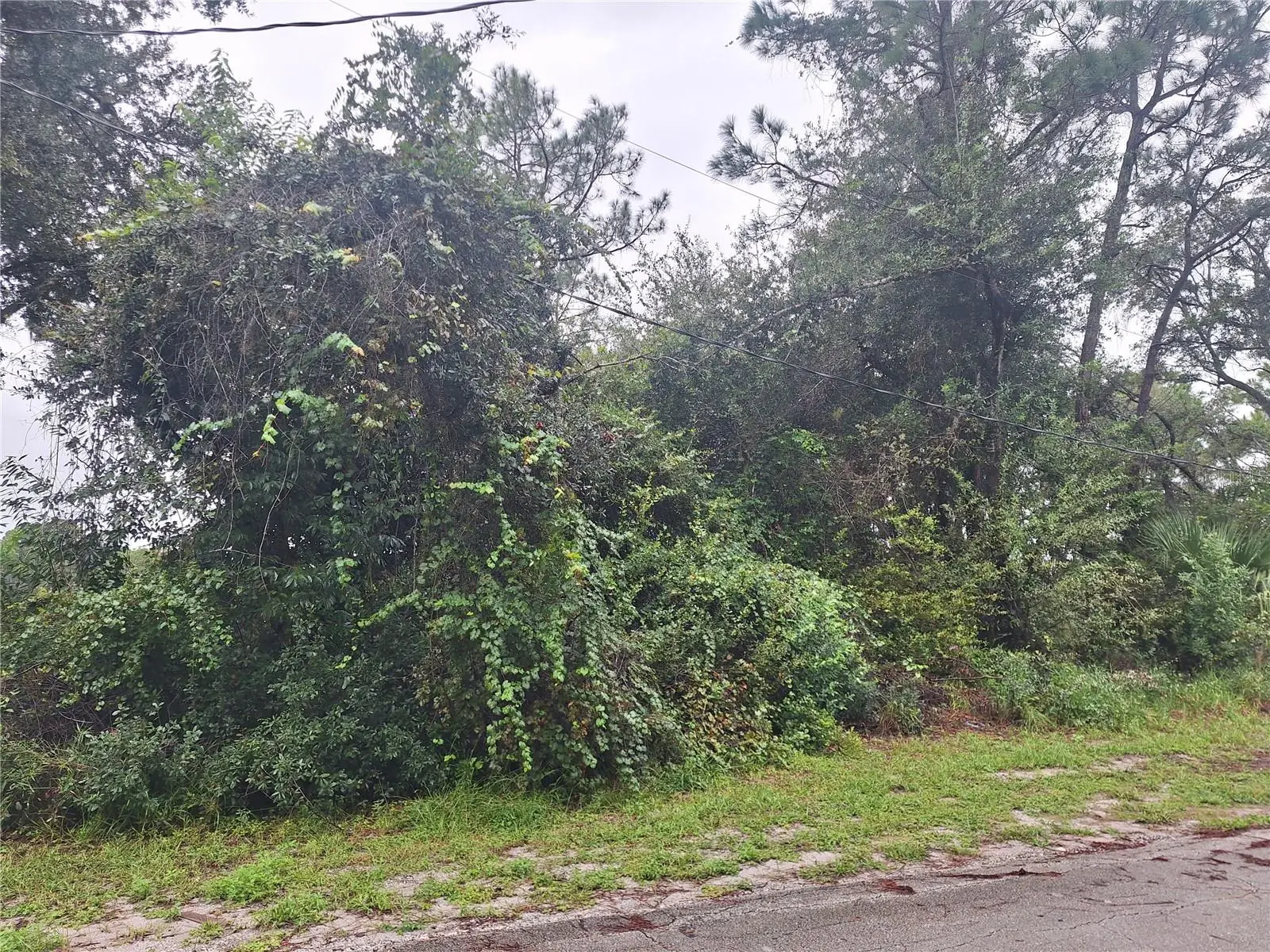 2683 Kingsdale Drive, FL