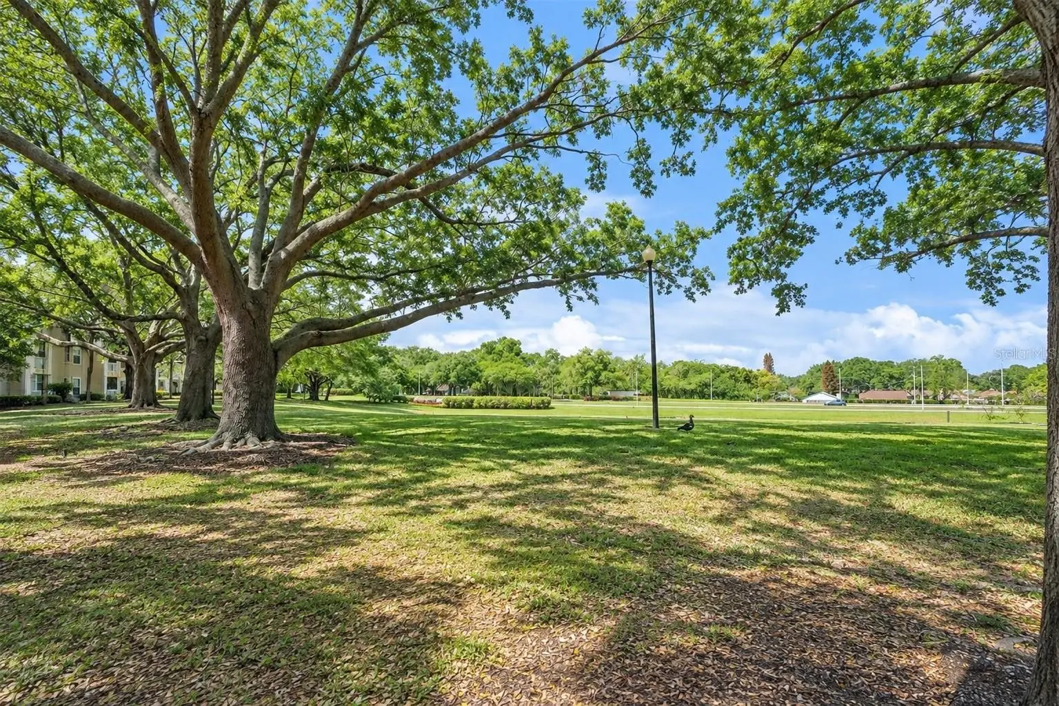 1037 Hiawassee Road, FL