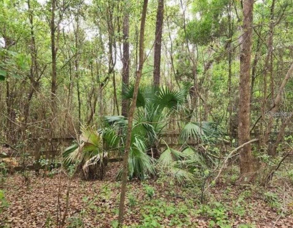 15363 156th Place Road, FL