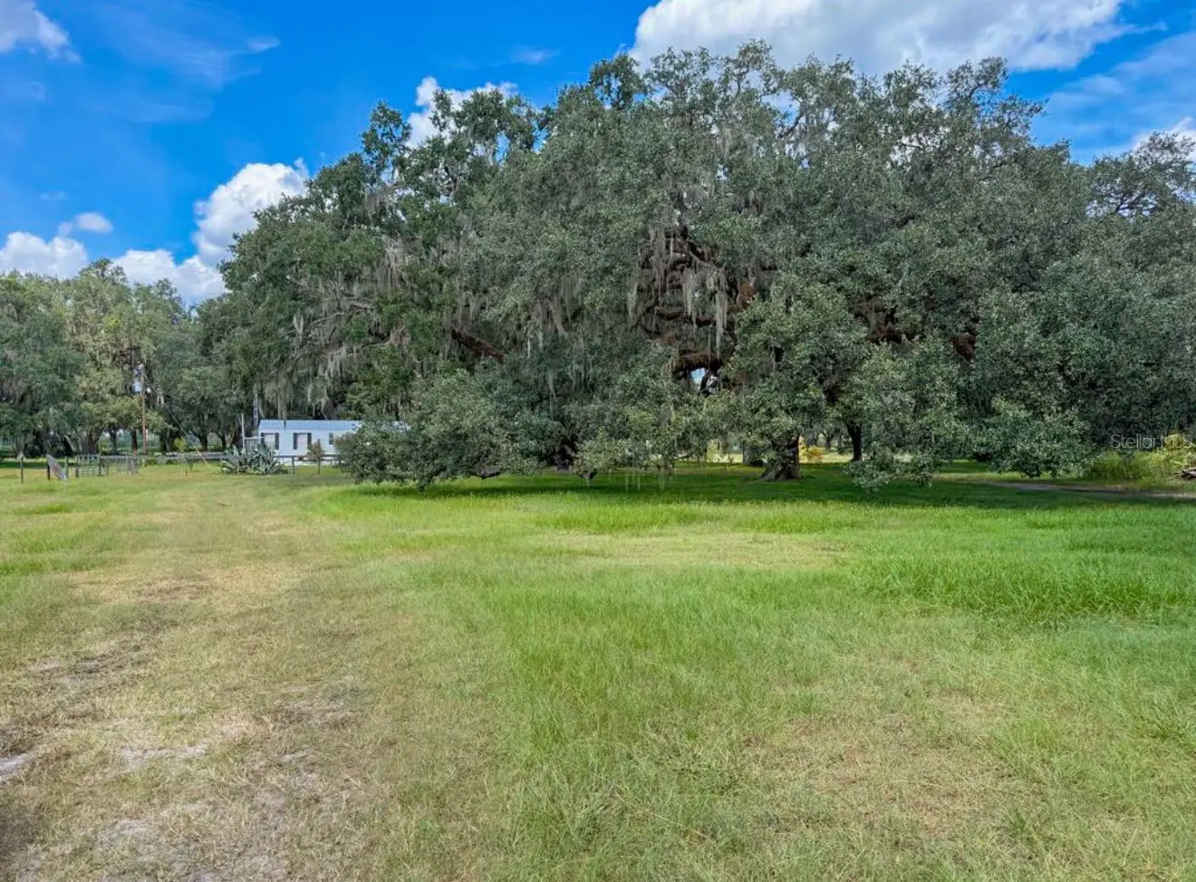 2531 Cr 546a, FL