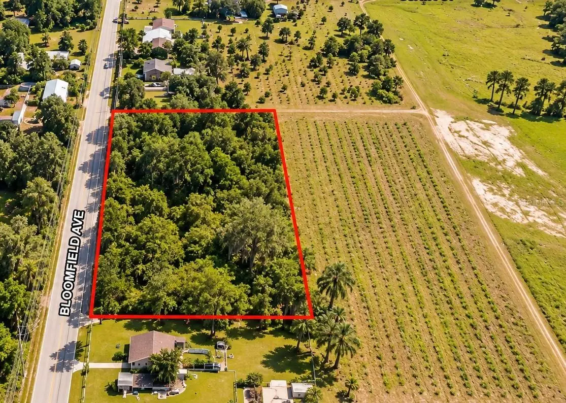 26714 Bloomfield Avenue, FL
