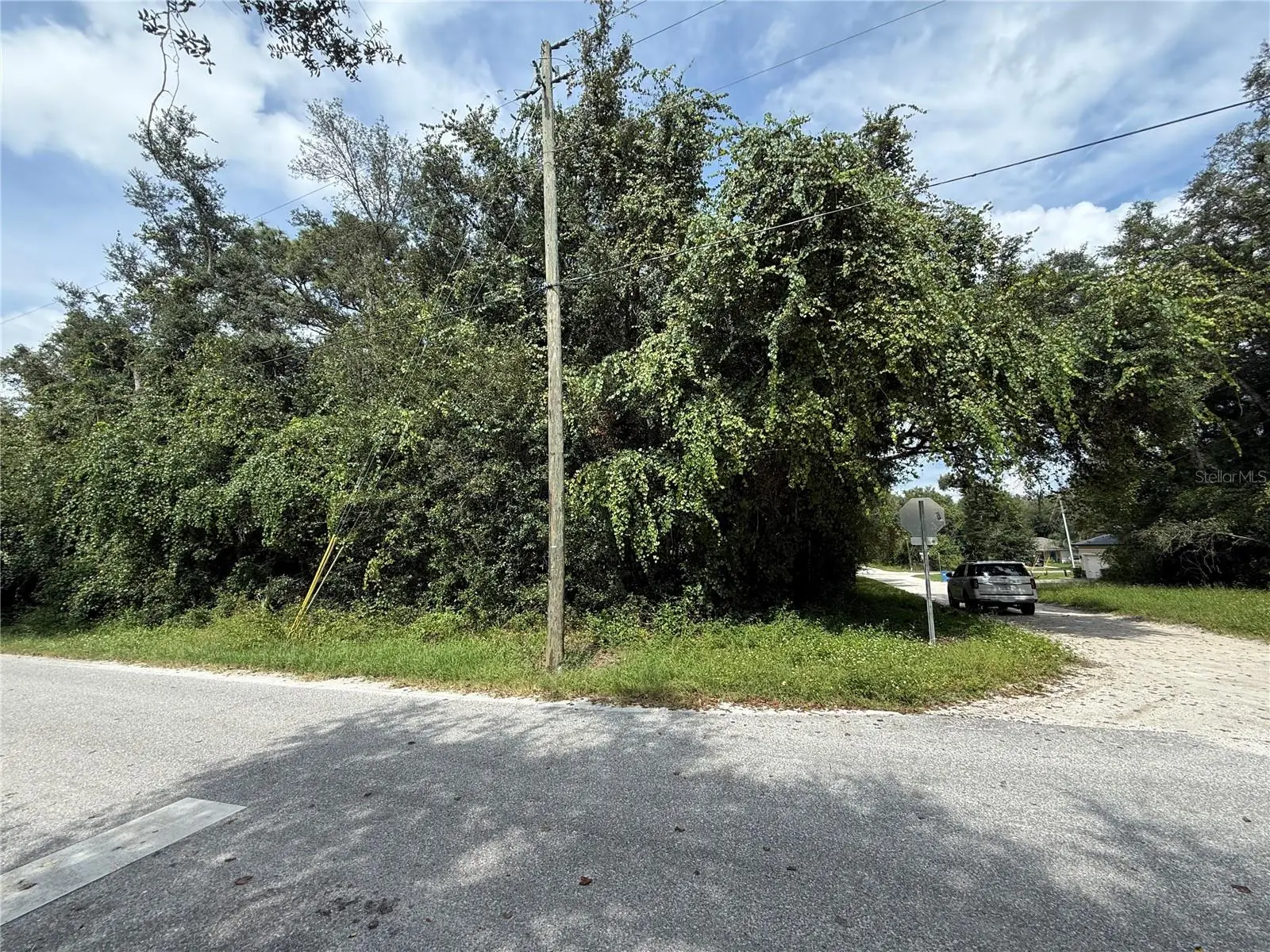 10th Street, FL
