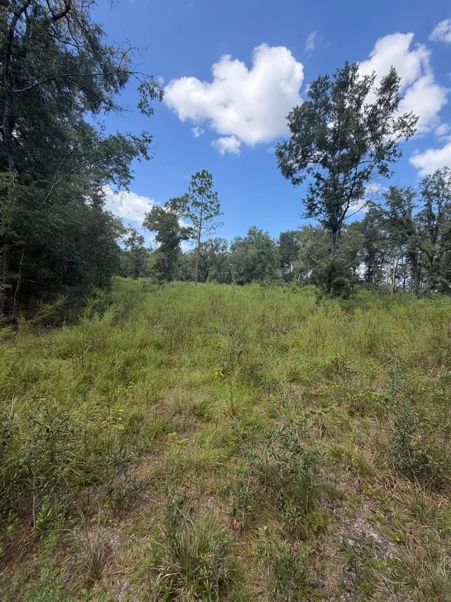 Foxwood, FL