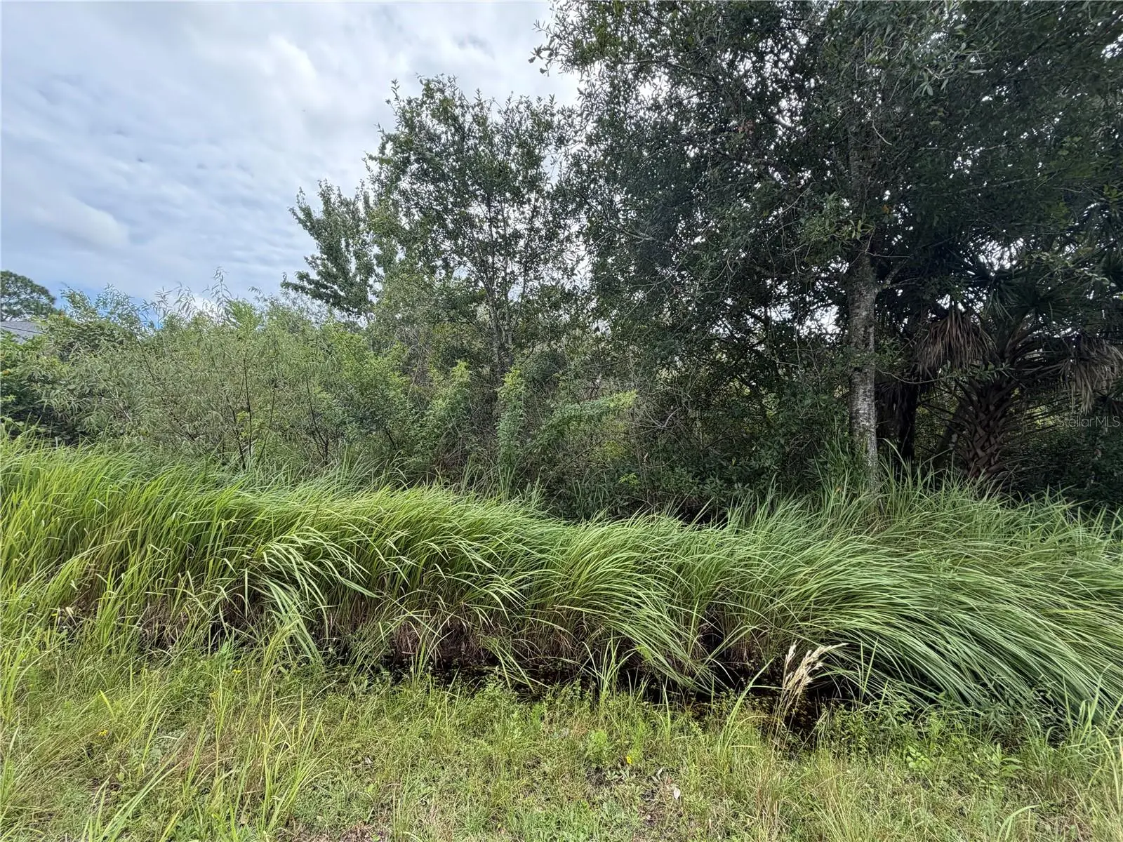 1428 Wigmore Street, FL
