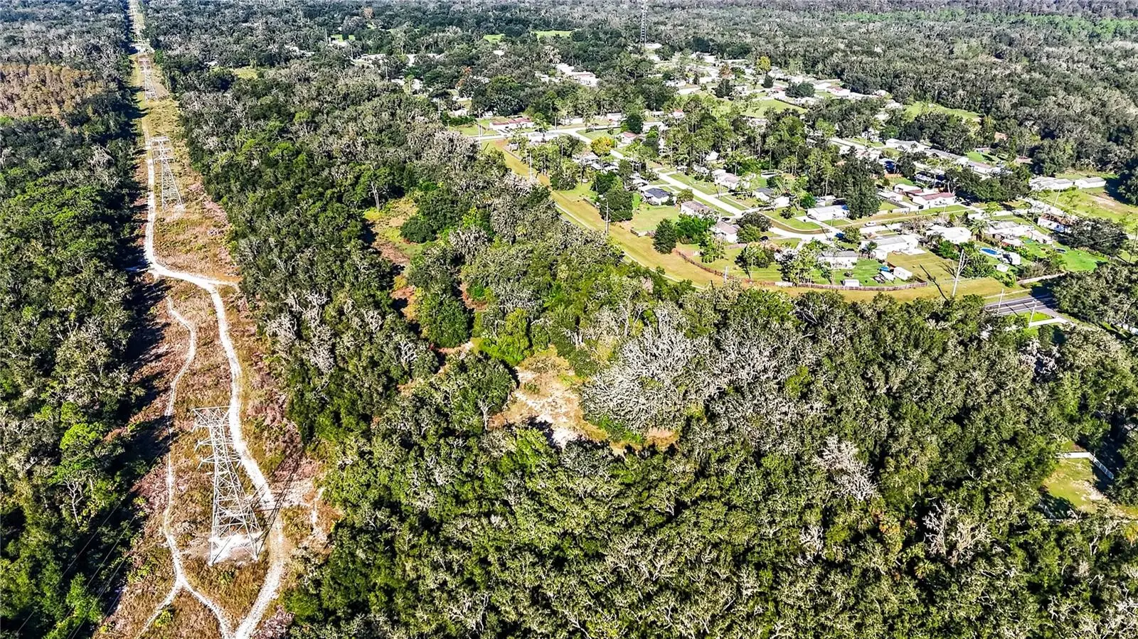 13055 Morris Bridge Road, FL