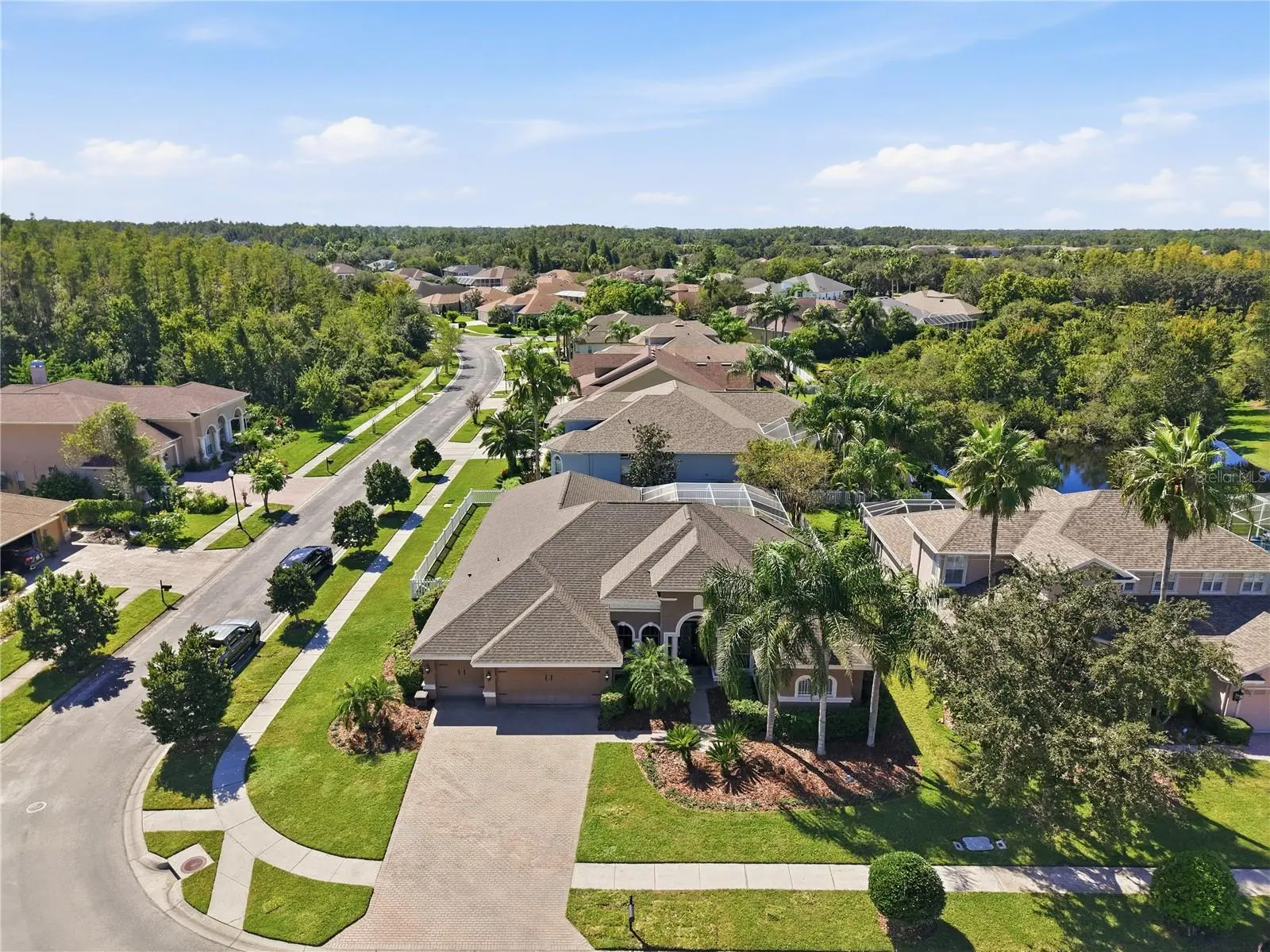 3905 Sorrel Vine Drive, FL