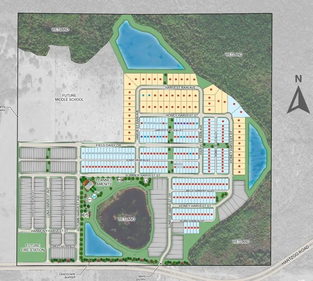 14779 Field Daisy Drive, FL