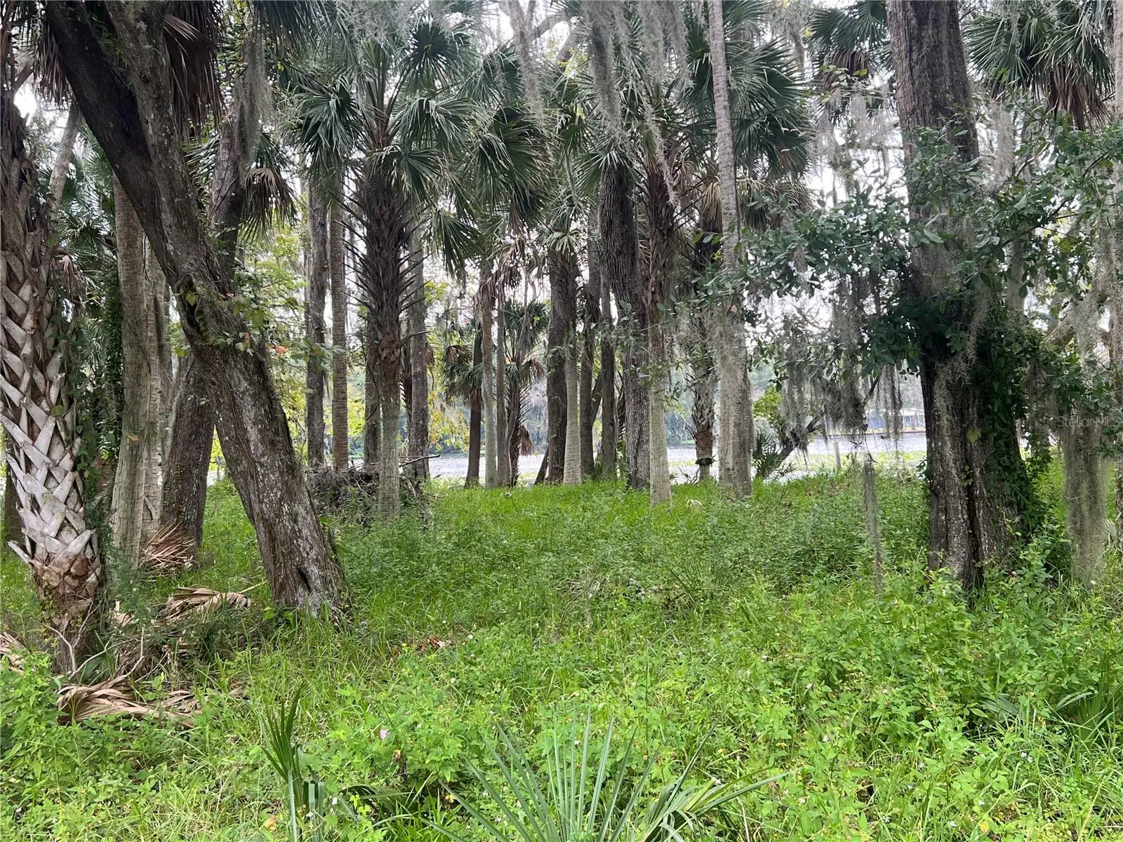 Hickory Road, FL