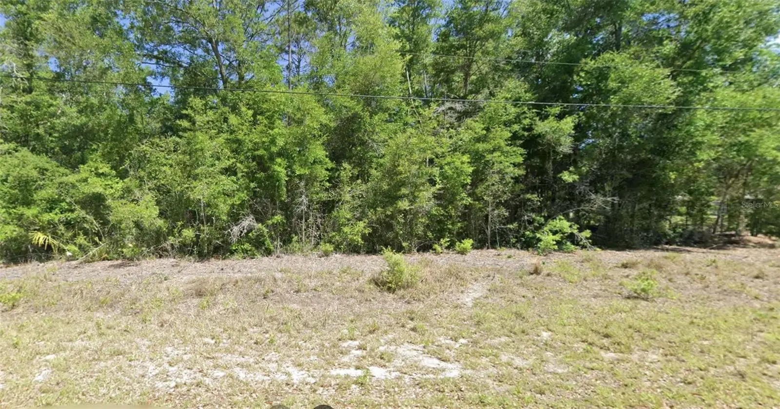 Sw Robin Dr, FL