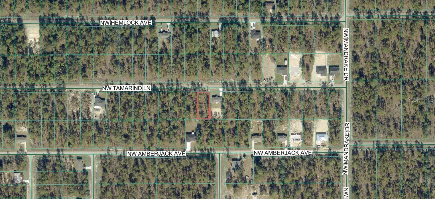 Tamarind Lane, FL