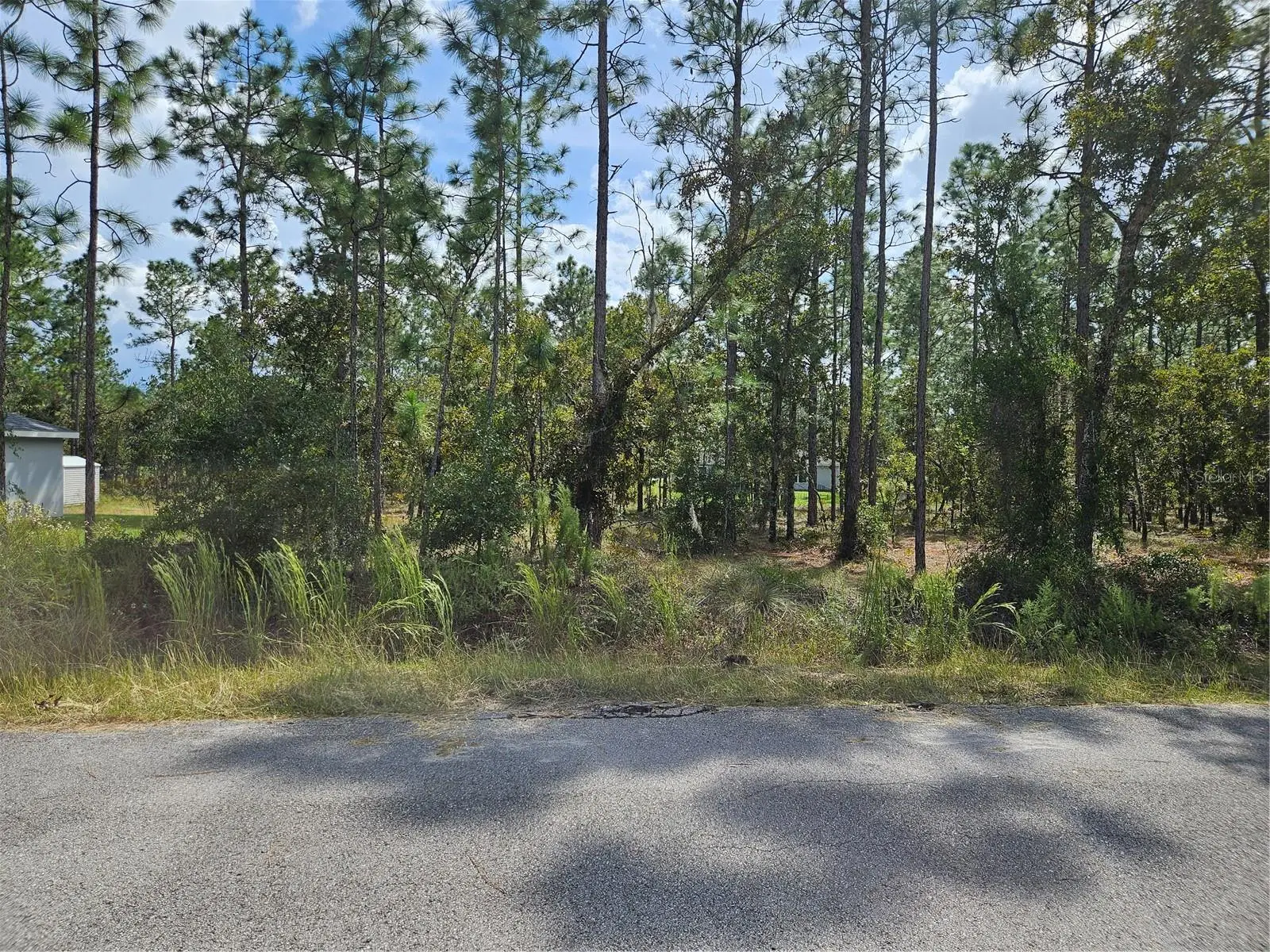 Tamarind Lane, FL