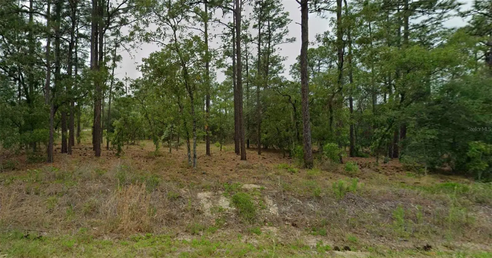 Southeast 129th Court, FL