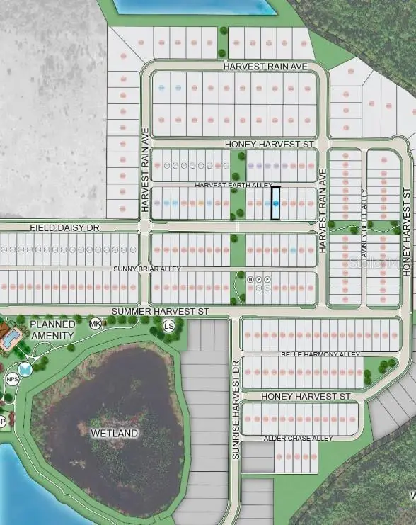 14743 Field Daisy Drive, FL