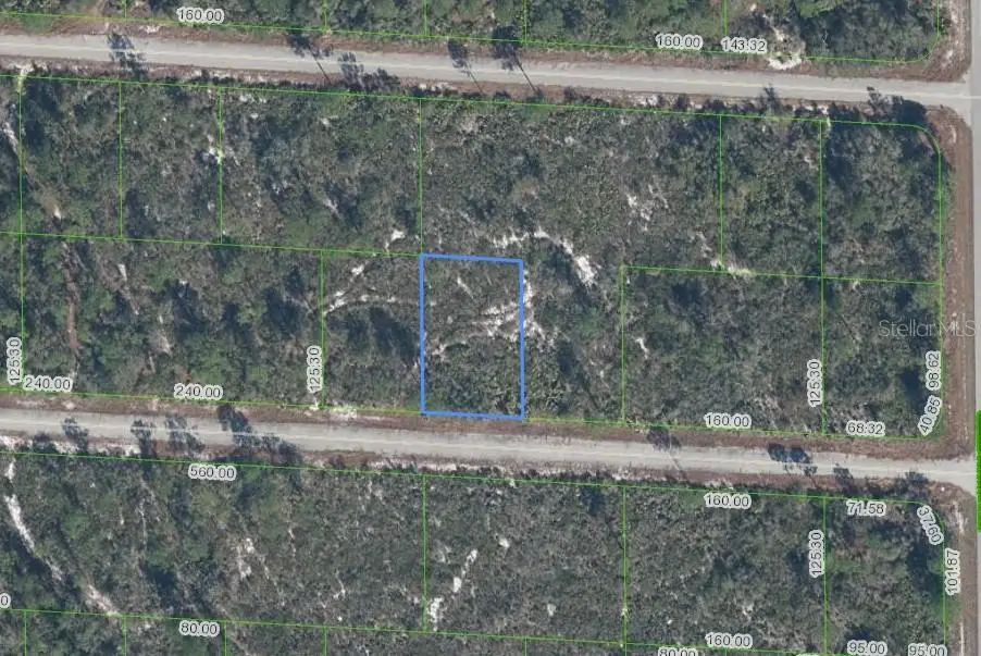 3509 Spoonbill Avenue, FL