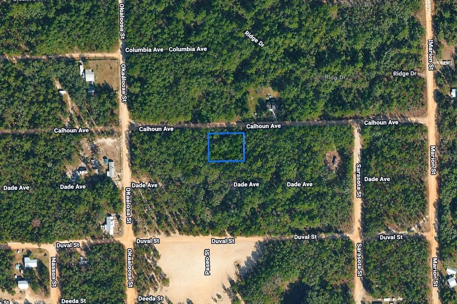 313 Calhoun Avenue, FL