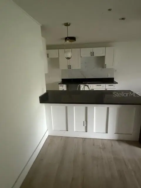 225 Ronnie Circle, FL